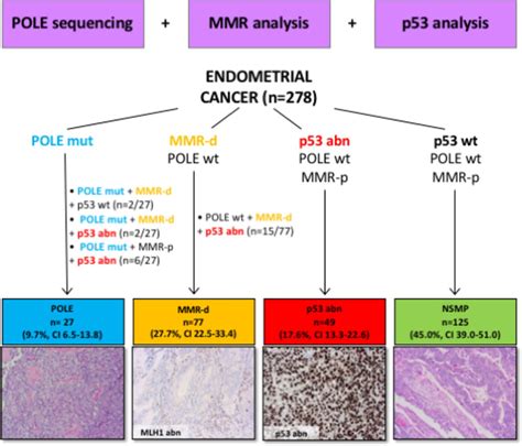 esmo guidelines endometrial cancer 2022